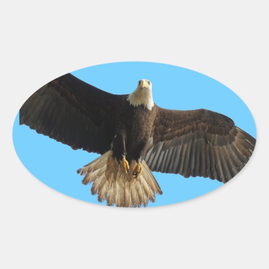 Flying Bald Eagle Wildlife Geschenk Ovaler Aufkleber (Vorderseite)