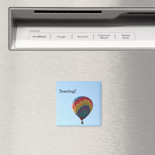 Flying Balloon Seagulls Magnet (In Situ (Geschirrspüler))