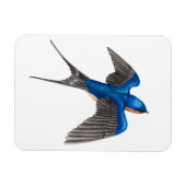 Flying Barn Swallow Flexi Magnet (Horizontal)
