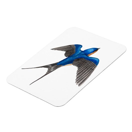 Flying Barn Swallow Flexi Magnet (Linke Seite)