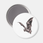 Flying Bat Magnet (Vorderseite/Rückseite)