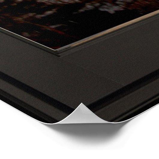 Flying Bird-Imitate Window Illusion 24x24 Schwarz Poster (Ecke)