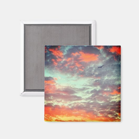 Flying Bird in Clouds Photo Magnet (Vorderseite/Rückseite)