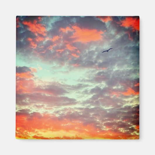 Flying Bird in Clouds Photo Magnet (Vorne)