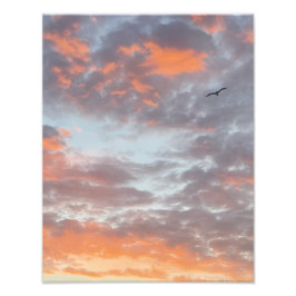 Flying Bird in Pink Clouds Photo Print Fotodruck