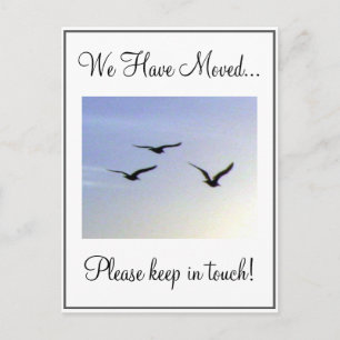 Flying Birds Änderung der Adresse Postkarte