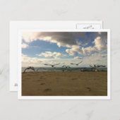 Flying Birds Postcard Postkarte (Vorne/Hinten)