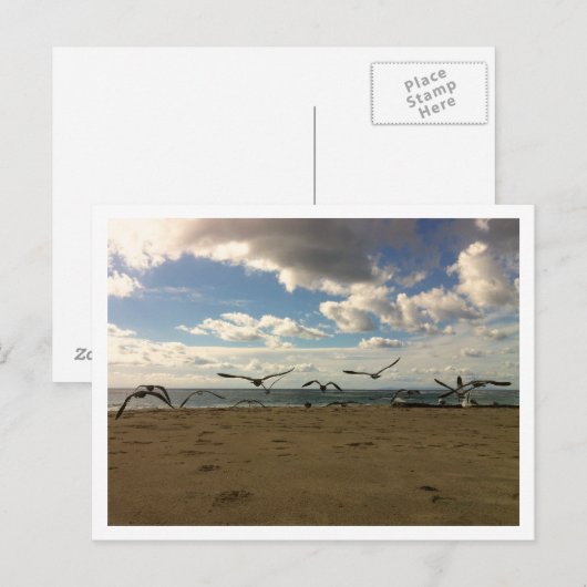 Flying Birds Postcard Postkarte (Vorne/Hinten)