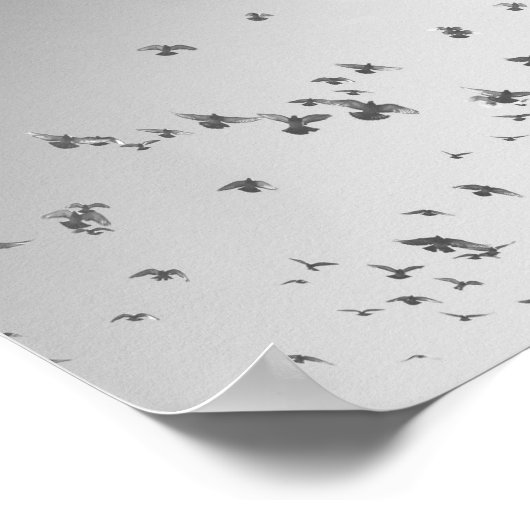 Flying Birds Poster Print (Ecke)
