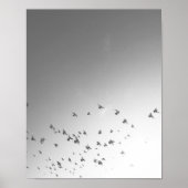 Flying Birds Poster Print (Vorne)