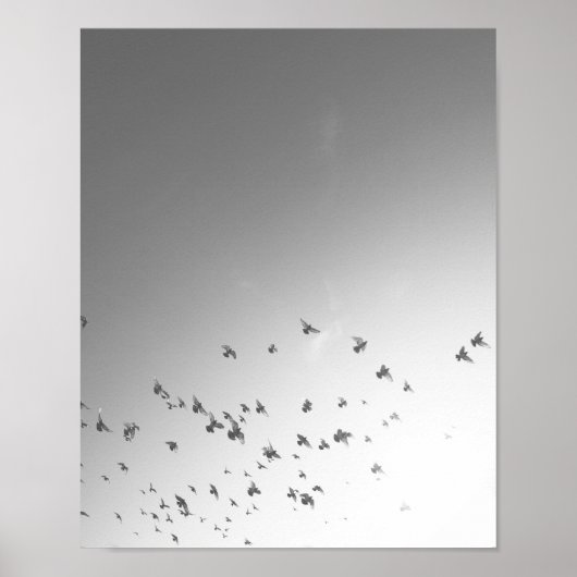 Flying Birds Poster Print (Vorne)