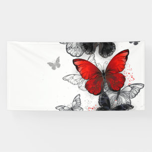 Flying Black and Red Morpho Butterfliegen Banner