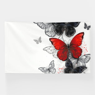 Flying Black and Red Morpho Butterfliegen Banner