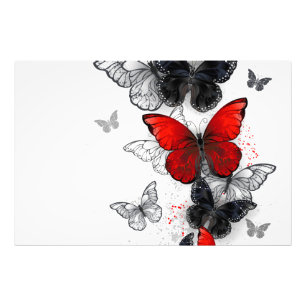 Flying Black and Red Morpho Butterfliegen Fotodruck