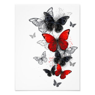 Flying Black and Red Morpho Butterfliegen Fotodruck