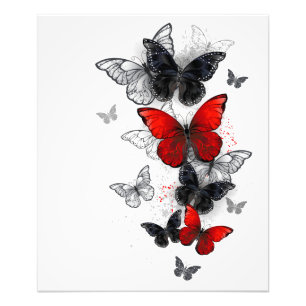 Flying Black and Red Morpho Butterfliegen Fotodruck