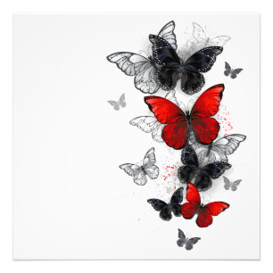 Flying Black and Red Morpho Butterfliegen Fotodruck