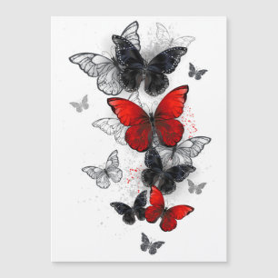 Flying Black and Red Morpho Butterfliegen Magneteinladung