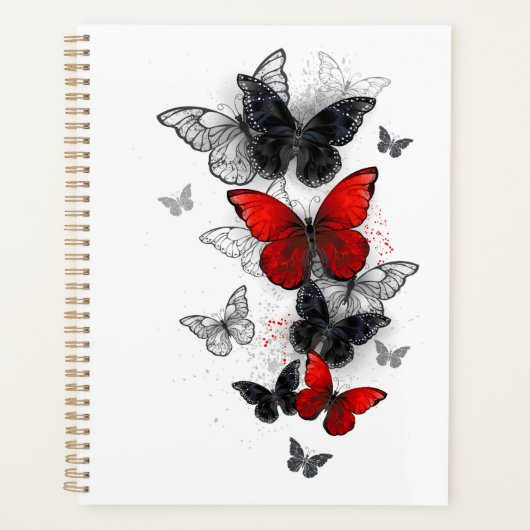 Flying Black and Red Morpho Butterfliegen Planer (Vorderseite)