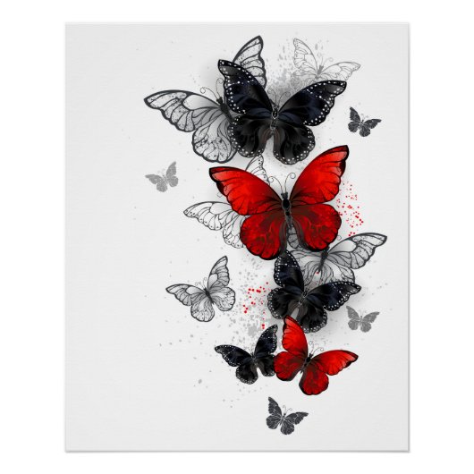 Flying Black and Red Morpho Butterfliegen Poster (Vorderseite)