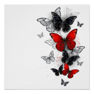 Flying Black and Red Morpho Butterfliegen Poster