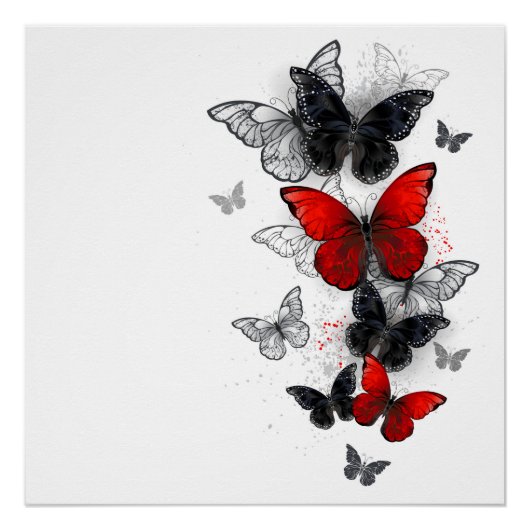 Flying Black and Red Morpho Butterfliegen Poster (Vorderseite)