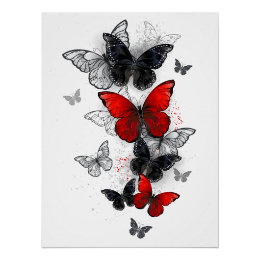 Flying Black and Red Morpho Butterfliegen Poster (Vorderseite)