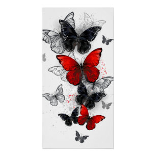 Flying Black and Red Morpho Butterfliegen Poster