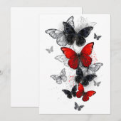 Flying Black and Red Morpho Butterfliegen Programm (Vorne/Hinten)