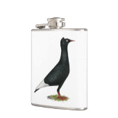 Flying Black Cap-Taube Flachmann (Links)