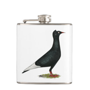 Flying Black Cap-Taube Flachmann
