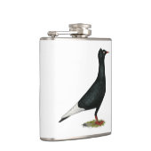 Flying Black Cap-Taube Flachmann (Rechts)