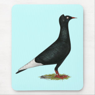 Flying Black Cap-Taube Mousepad