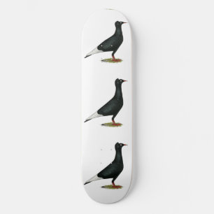 Flying Black Cap-Taube Skateboard