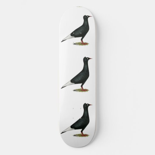 Flying Black Cap-Taube Skateboard (Vorderseite)