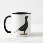 Flying Black Cap-Taube Tasse (Links)