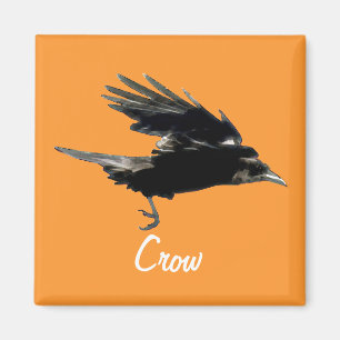 Flying Black Crow Birdlover Magnet