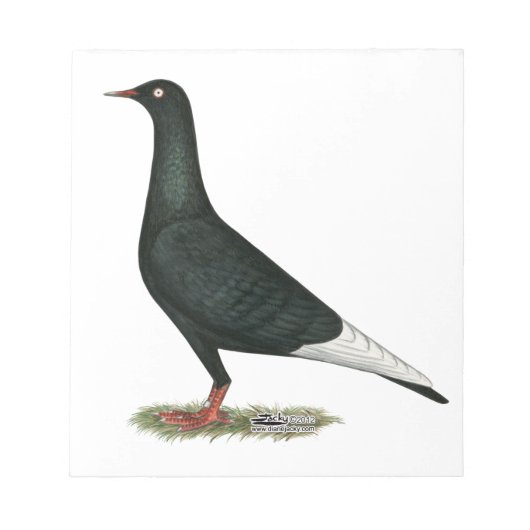 Flying Black Taube Notizblock (Vorderseite)
