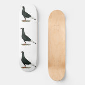 Flying Black Taube Skateboard (Vorderseite)
