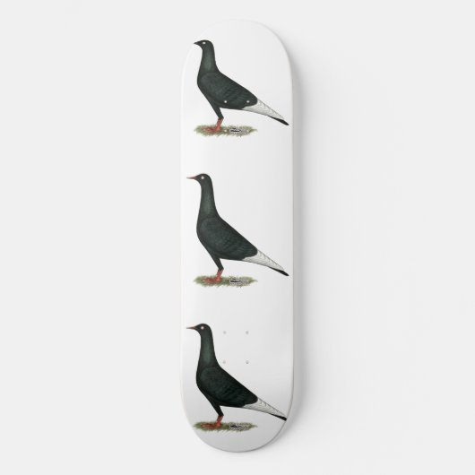 Flying Black Taube Skateboard (Vorderseite)