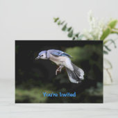 Flying Blue-Jay Einladung (Stehend Vorderseite)