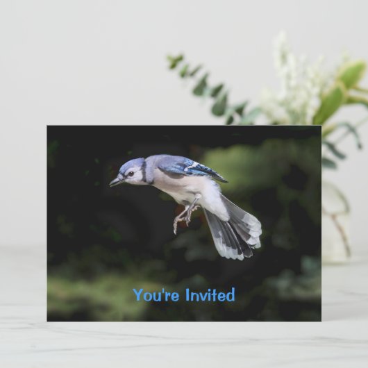 Flying Blue-Jay Einladung (Stehend Vorderseite)