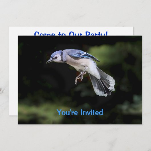 Flying Blue-Jay Einladung (Vorne/Hinten)