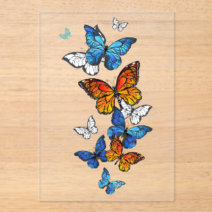 Flying Butterflies Morpho und Monarch Acryleinladungen