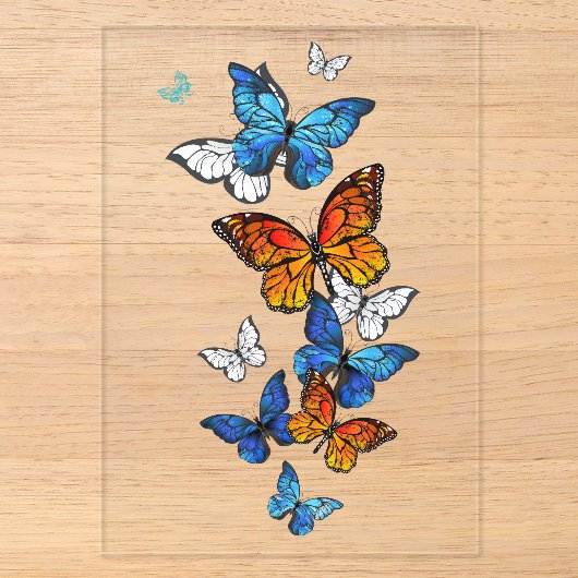 Flying Butterflies Morpho und Monarch Acryleinladungen (Vorderseite)