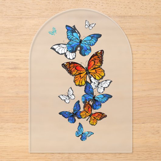 Flying Butterflies Morpho und Monarch Acryleinladungen (Vorderseite)