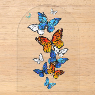 Flying Butterflies Morpho und Monarch Acryleinladungen