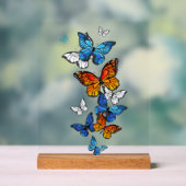Flying Butterflies Morpho und Monarch Acrylschild (Neutral)
