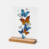 Flying Butterflies Morpho und Monarch Acrylschild (Winkel)