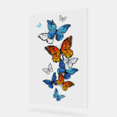 Flying Butterflies Morpho und Monarch Acrylschild (Winkel)